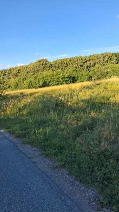 Teren de vânzare în Central, Mociu – fotografia 9 din 13