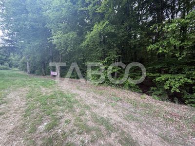 Teren de vânzare în Dragus – fotografia 3 din 4