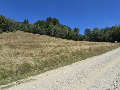 Teren de vânzare în Central, Poiana Marului – fotografia 5 din 9