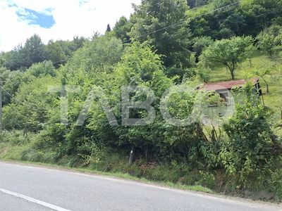 Teren de vânzare în Rășinari – fotografia 4 din 8