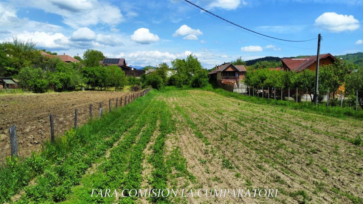 Teren de vânzare în Vest, Pausesti-Maglasi – fotografia 7 din 13