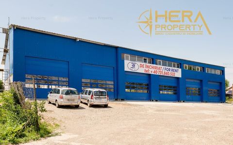 Spațiu industrial de închiriat în Vanatori