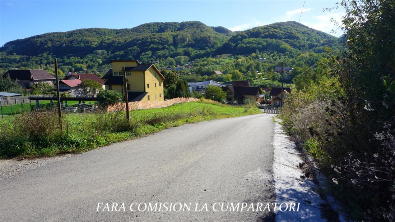 Teren de vânzare în Est, Pausesti-Maglasi – fotografia 12 din 17