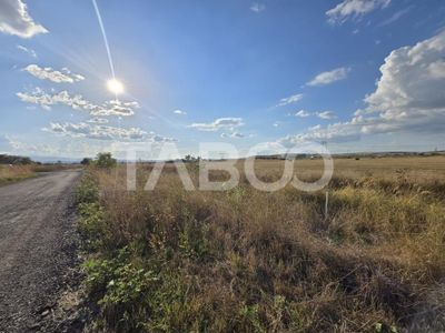 Teren de vânzare în Veterani, Sibiu – fotografia 4 din 5