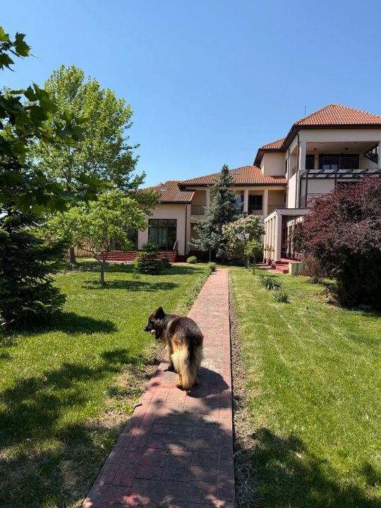 Casă cu 13 camere de vânzare în Exterior Est, Crevedia – fotografia 3 din 54