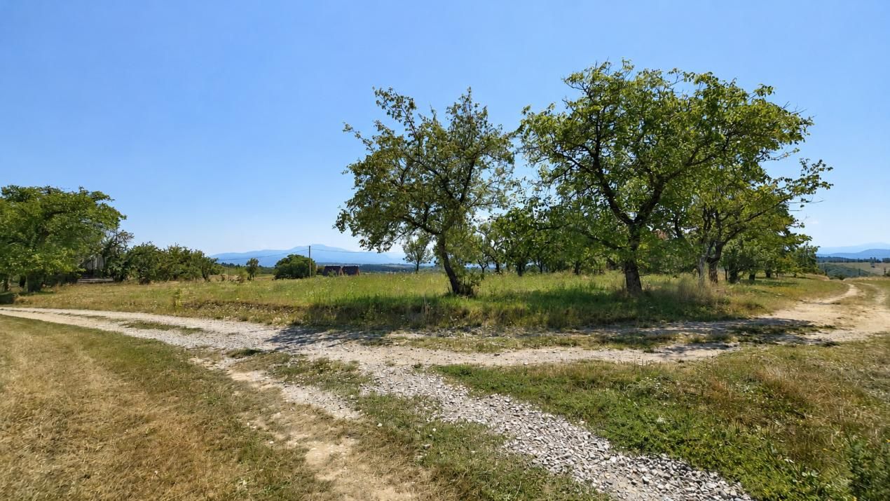 Teren de vânzare în Central, Poiana Marului – fotografia 2 din 7