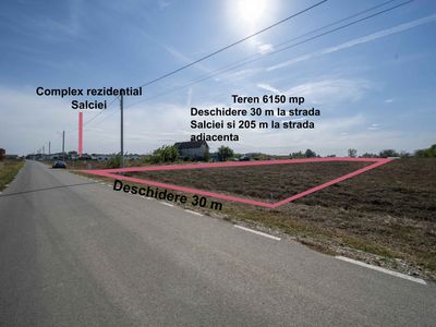 Teren de vânzare în Domnești – fotografia 2 din 11