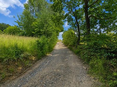 Teren de vânzare în Central, Poiana Marului – fotografia 4 din 8