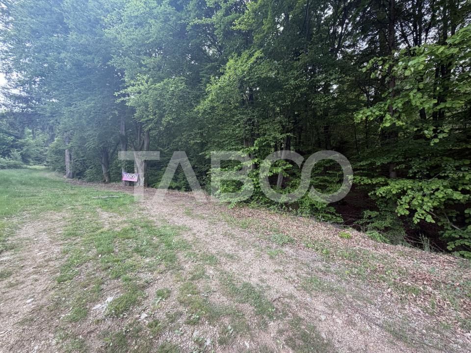 Teren de vânzare în Dragus – fotografia 3 din 4