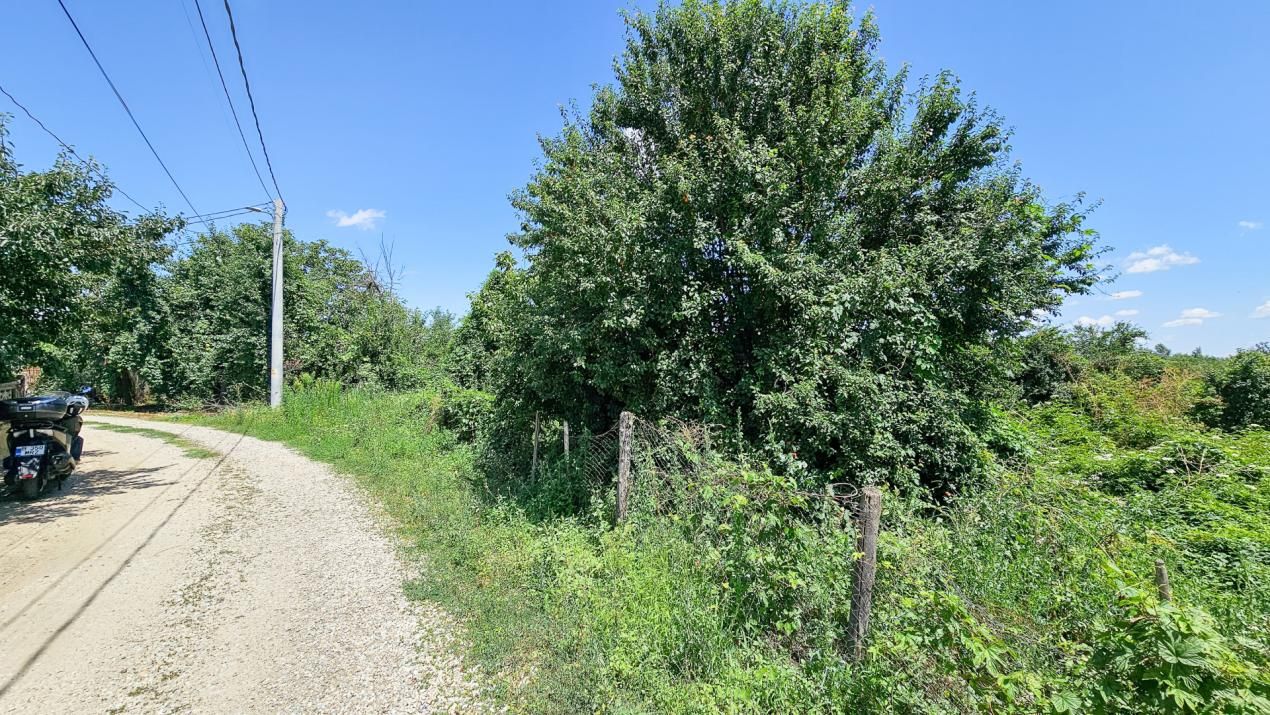 Teren de vânzare în Central, Bolintin-Vale – fotografia 5 din 27