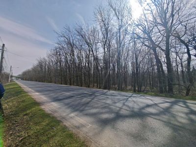 Teren de vânzare în Ciorogârla – fotografia 5 din 7
