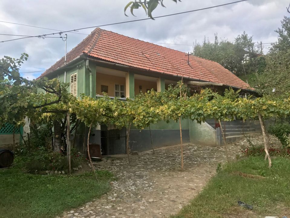 Casă cu 3 camere de vânzare în Central, Cricau – fotografia 31 din 32
