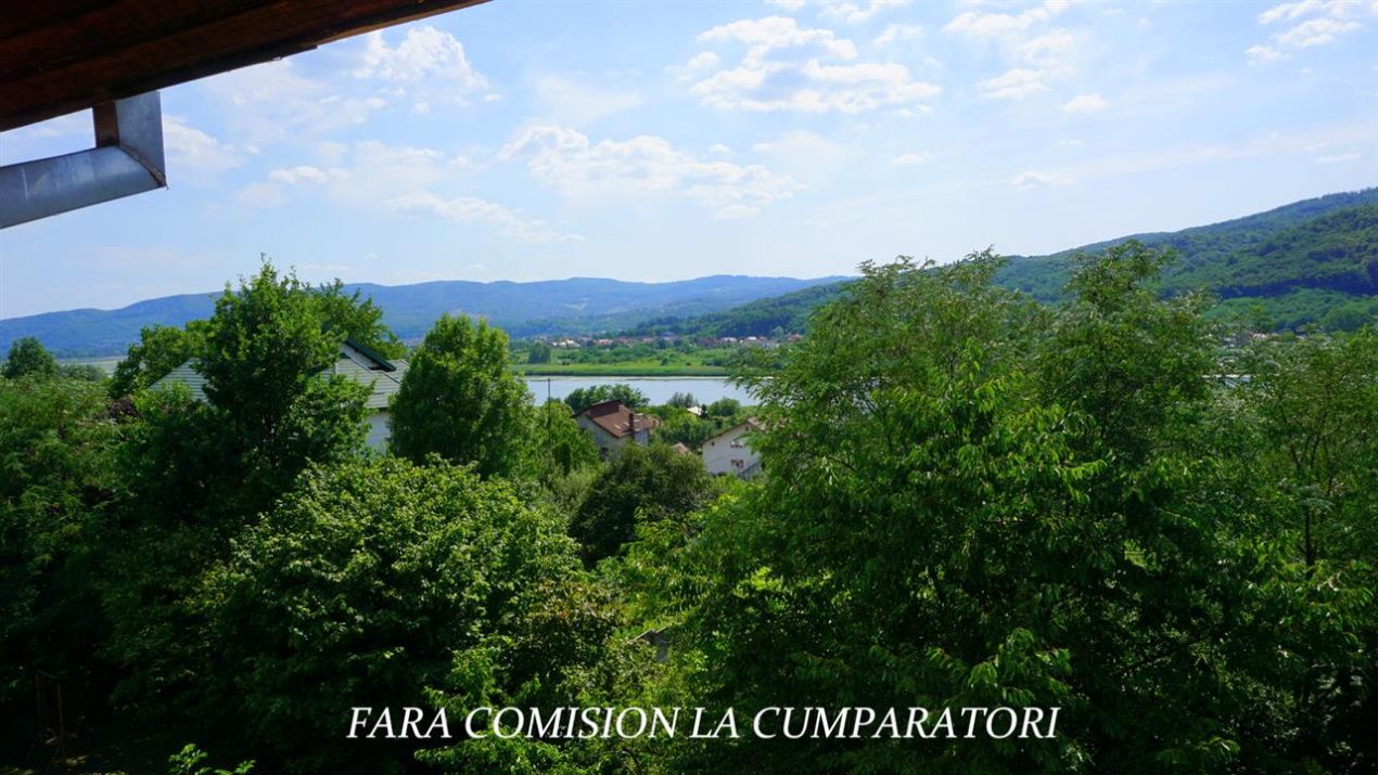 Casă cu 7 camere de vânzare în Daesti – fotografia 42 din 44