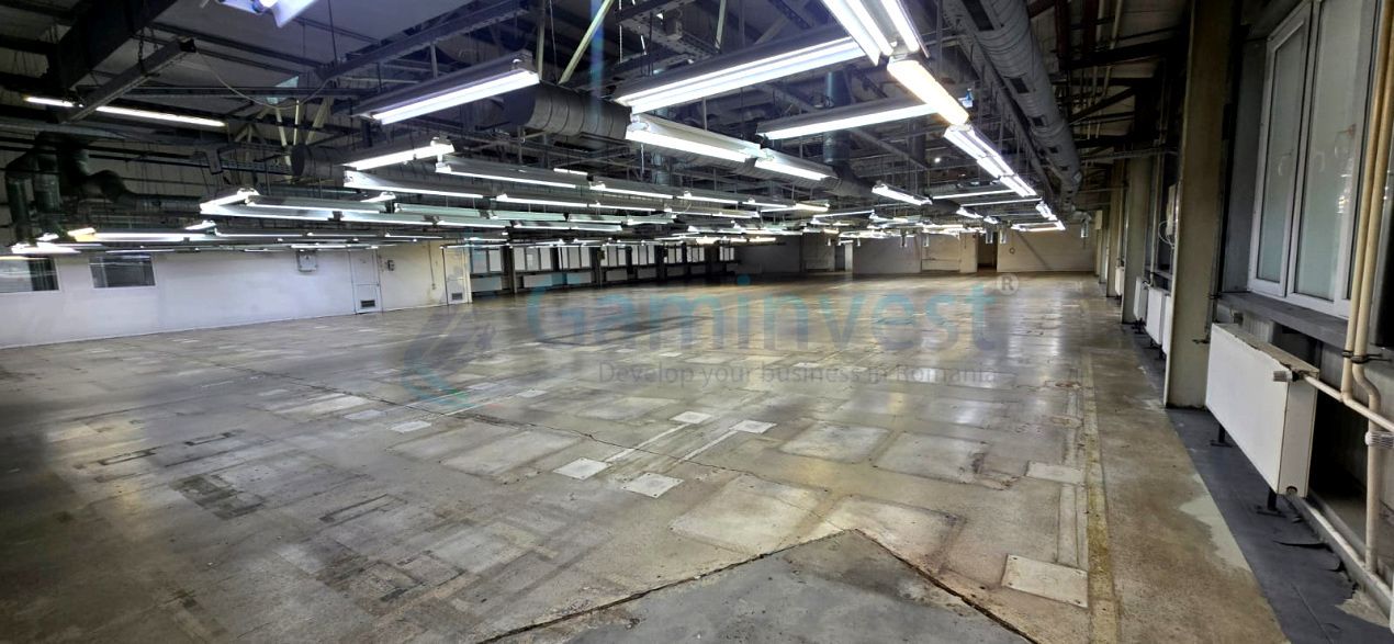 Spațiu industrial de închiriat în Marghita – fotografia 4 din 19