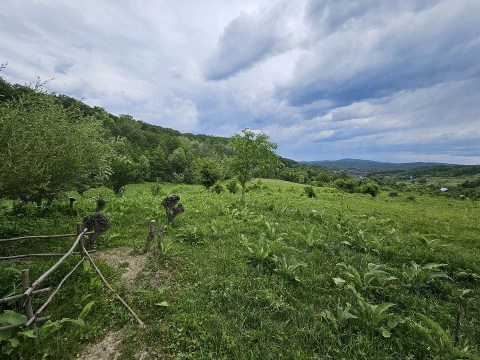 Teren de vânzare în Margineni – fotografia 2 din 7