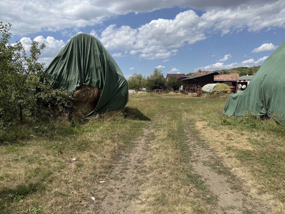 Teren de vânzare în Central, Pata – fotografia 4 din 6