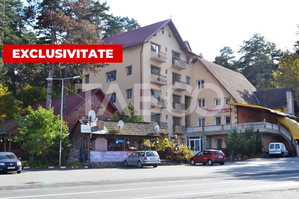 Hotel / pensiune cu 26 camere de vânzare în Tălmaciu – fotografia 1 din 27