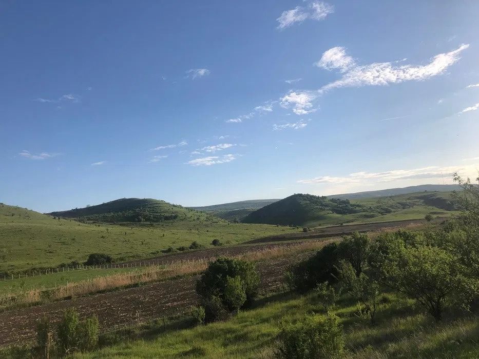 Teren de vânzare în Central, Pata – fotografia 6 din 7