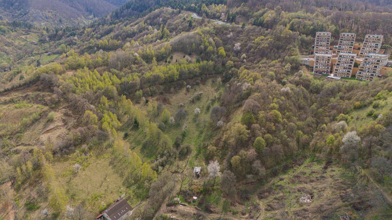 Teren de vânzare în Drumul Poienii, Brașov – fotografia 9 din 11
