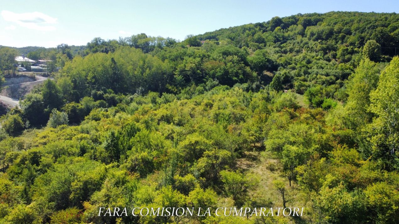 Teren de vânzare în Morilor, Râmnicu Vâlcea – fotografia 6 din 14