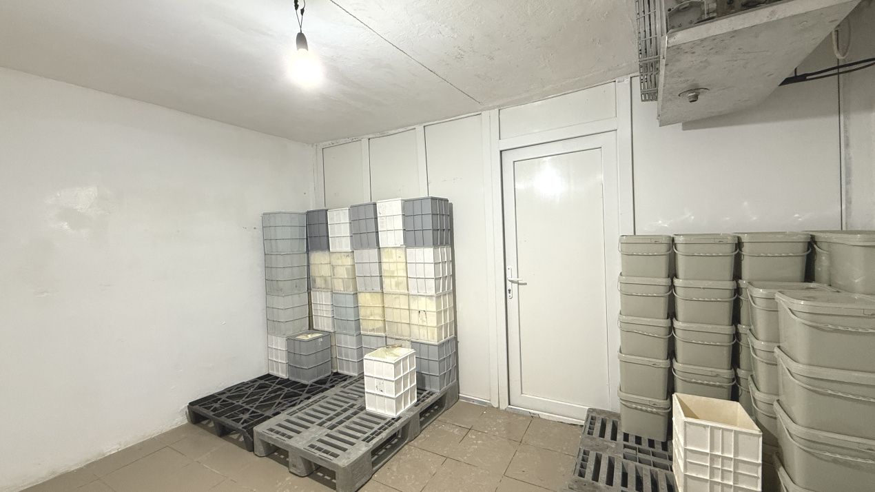 Spațiu comercial cu 5 camere de vânzare în Însurăței – fotografia 10 din 16