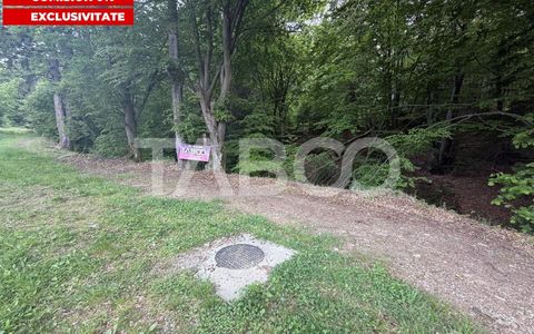 Teren de vânzare în Dragus