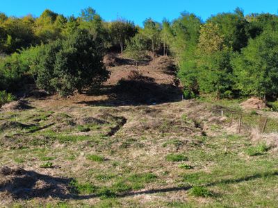 Teren de vânzare în Podis – fotografia 3 din 6