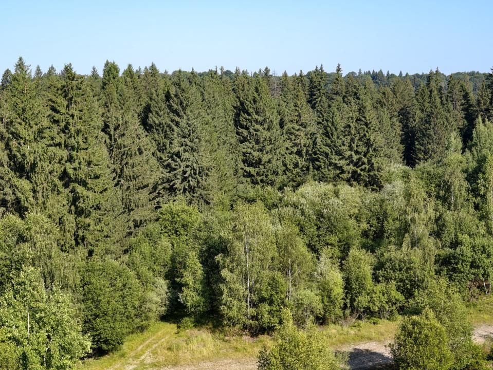 Apartament cu 7 camere de vânzare în Periferie, Poiana Brasov – fotografia 61 din 91