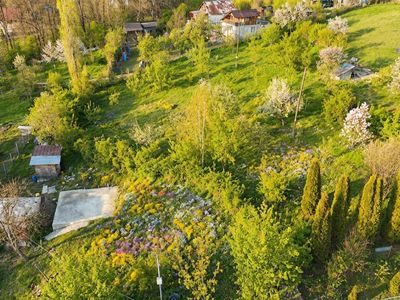 Teren de vânzare în Slanic – fotografia 3 din 6