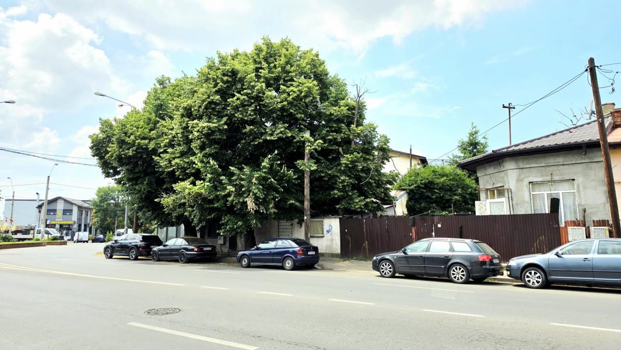 Casă cu 7 camere de vânzare în Pieptanari, București – fotografia 53 din 60