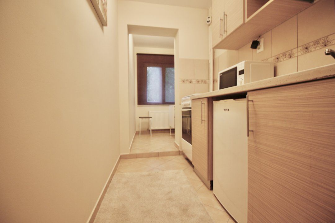 Garsonieră cu 1 cameră de închiriat în Tei, București – fotografia 5 din 11
