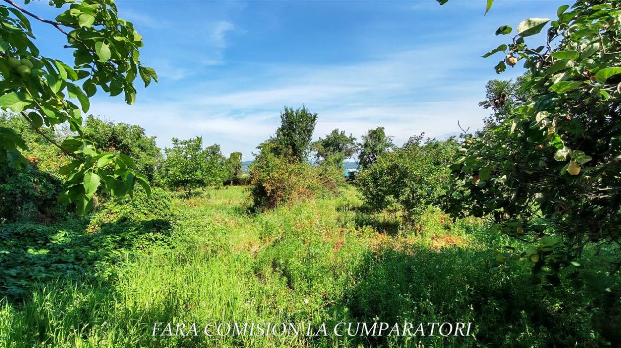 Casă cu 3 camere de vânzare în Budești – fotografia 14 din 19