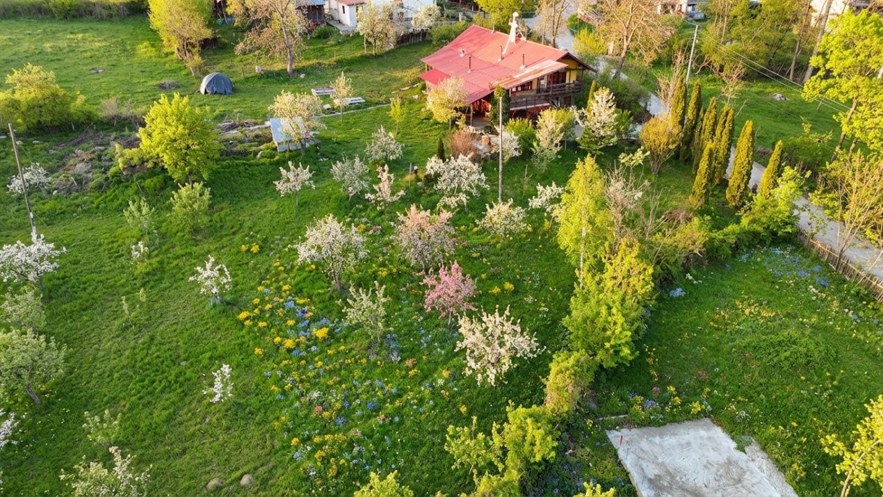 Teren de vânzare în Slanic – fotografia 4 din 6