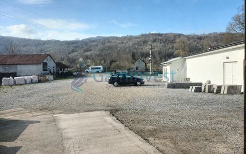 Teren de vânzare în Bucea