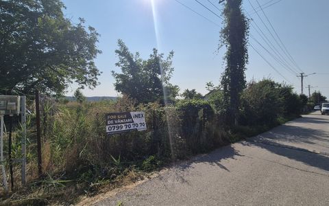 Teren de vânzare în Nord-Est, Bascov