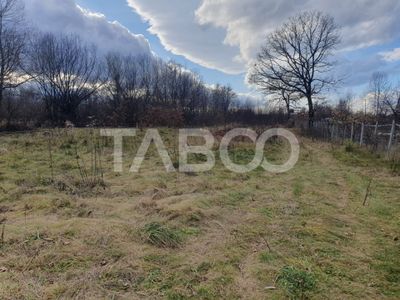 Teren de vânzare în Savastreni – fotografia 2 din 3
