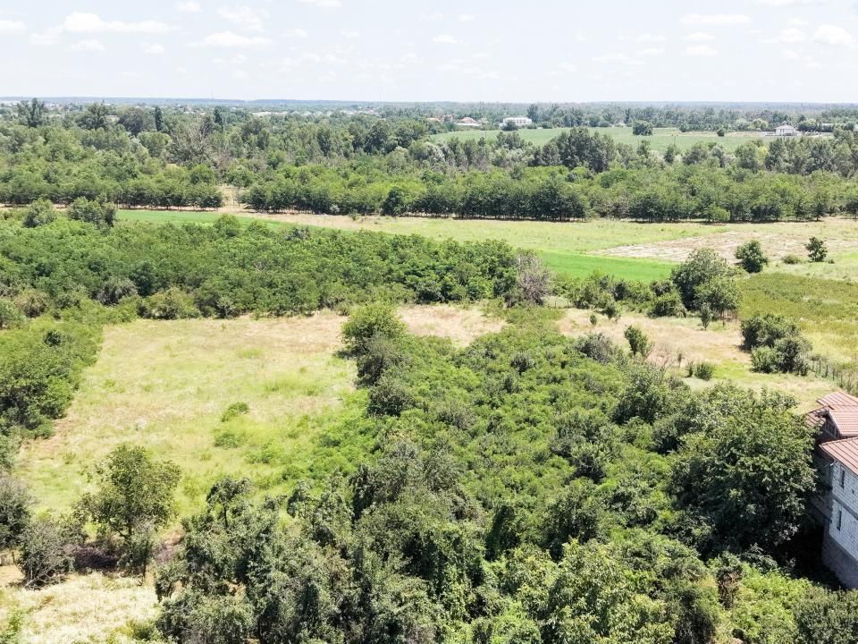 Teren de vânzare în Central, Bolintin-Vale – fotografia 13 din 27