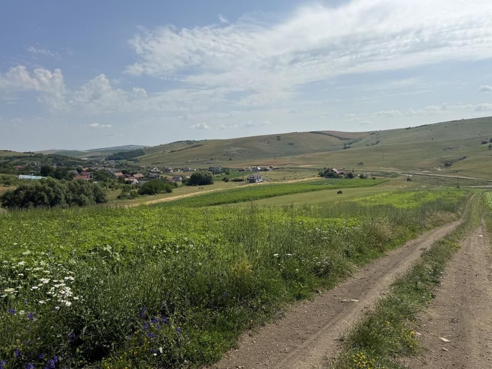 Teren de vânzare în Sud, Dezmir – fotografia 2 din 11
