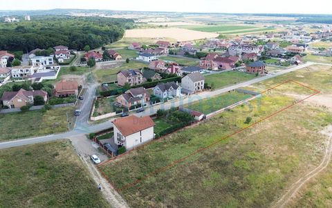 Teren de vânzare în Est, Sânmartin
