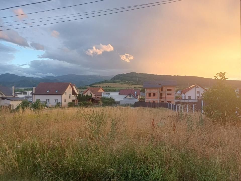 Teren de vânzare în Tălmaciu – fotografia 6 din 13