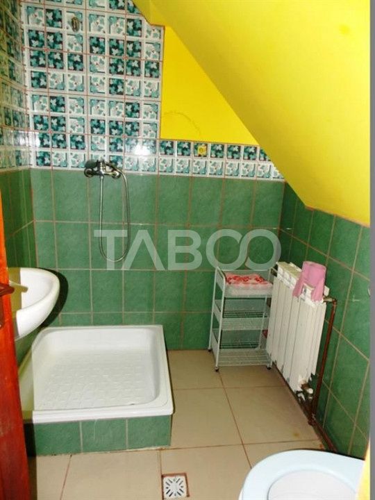 Hotel / pensiune cu 13 camere de vânzare în Cârțișoara – fotografia 53 din 53