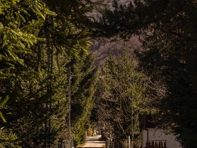 Teren de vânzare în Central, Poiana Marului – fotografia 3 din 26