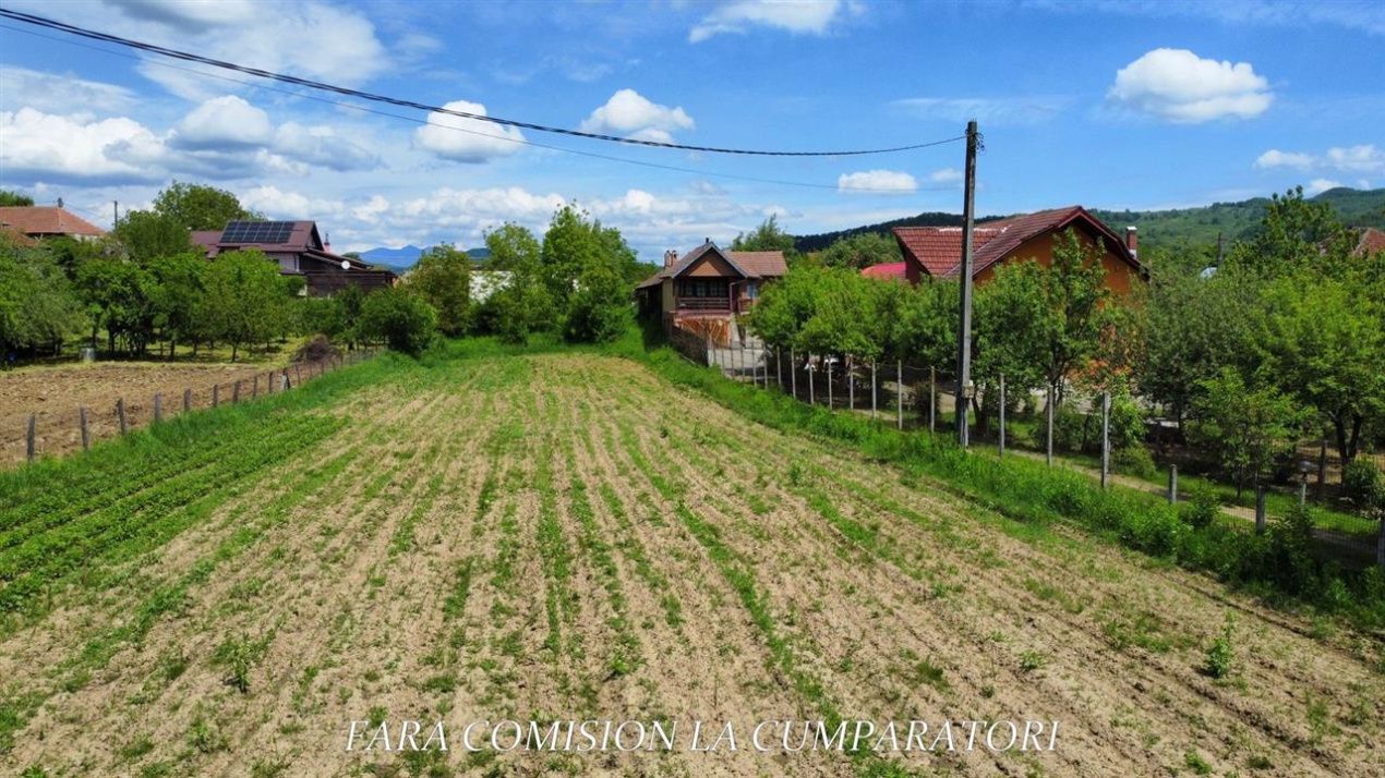 Teren de vânzare în Vest, Pausesti-Maglasi – fotografia 6 din 13
