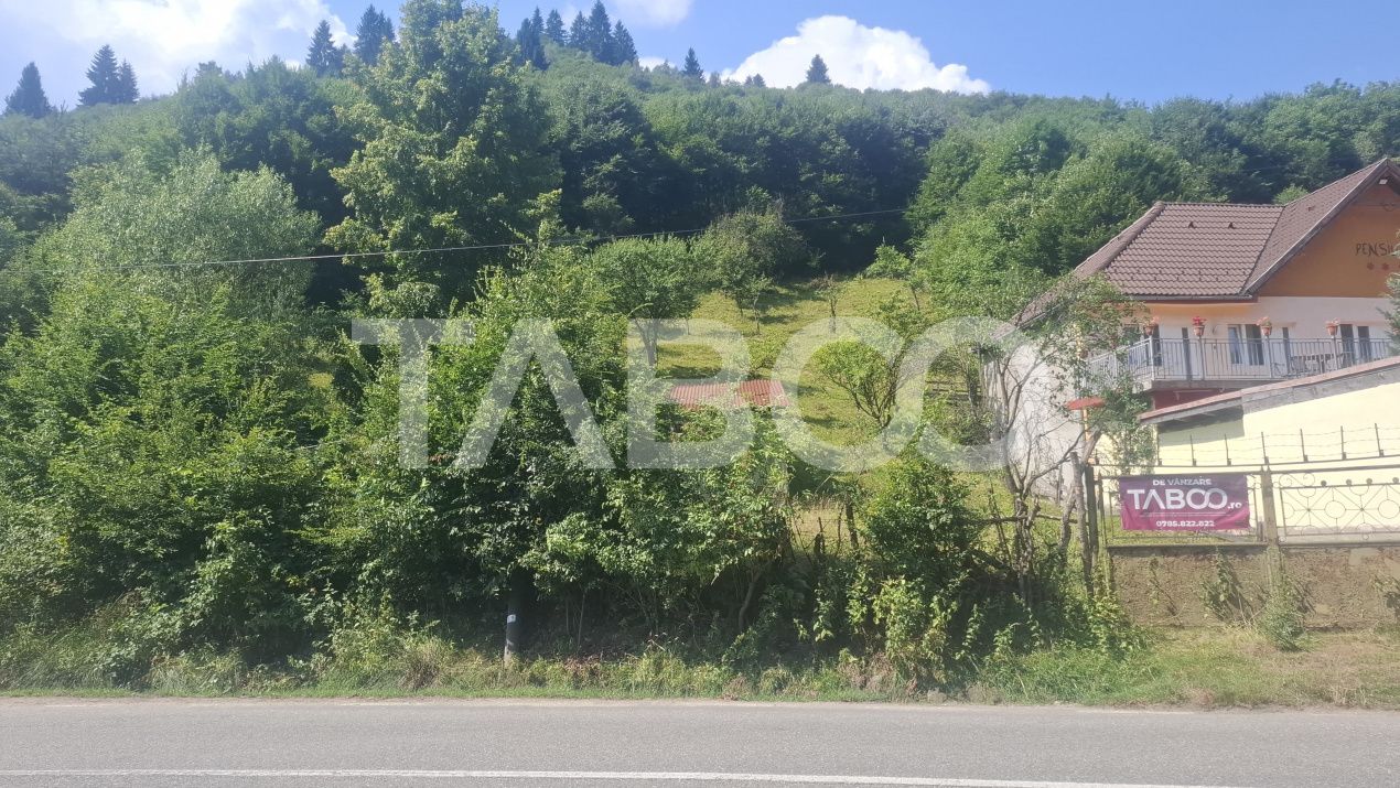 Teren de vânzare în Rășinari – fotografia 7 din 8