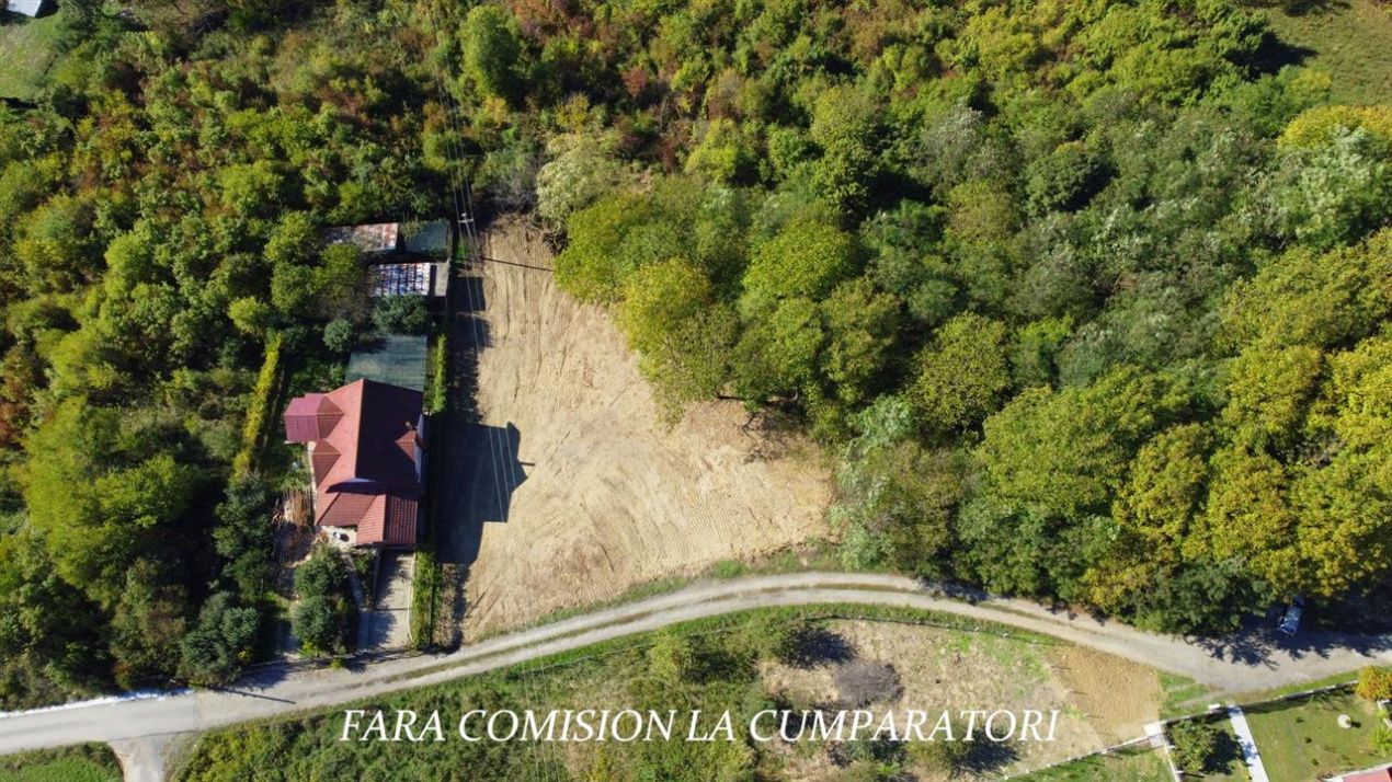 Teren de vânzare în Est, Pausesti-Maglasi – fotografia 6 din 17