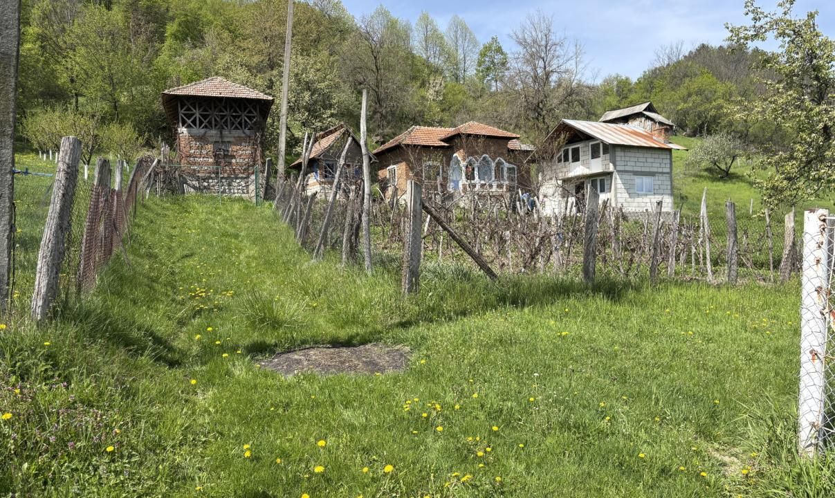 Teren de vânzare în Central, Barsestii de Sus – fotografia 4 din 13