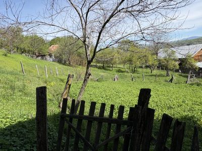 Teren de vânzare în Central, Barsestii de Sus – fotografia 5 din 13