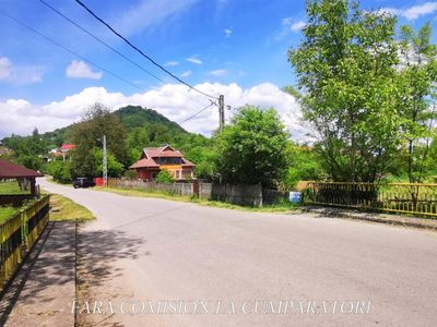 Teren de vânzare în Vest, Pausesti-Maglasi – fotografia 2 din 13