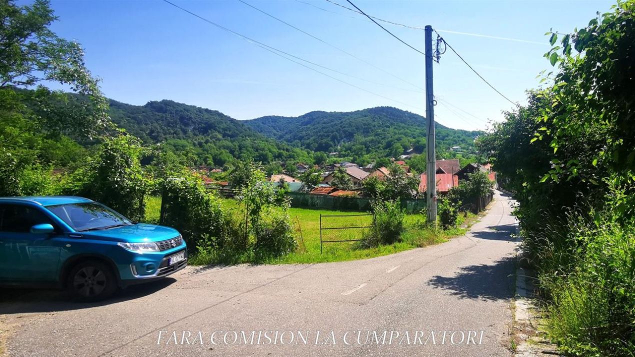 Teren de vânzare în Est, Ocnele Mari – fotografia 4 din 13