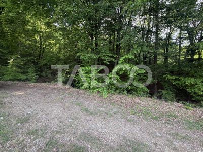 Teren de vânzare în Dragus – fotografia 4 din 4